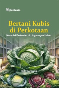 Bertani kubis di perkotaan
