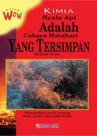 Sains Wow , kimia nyala api adalah cahaya matahari yang tersimpan