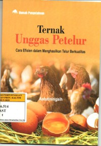 Ternak Unggas Petelur